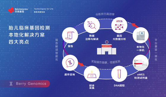 貝瑞基因發布胎兒臨床基因檢測本地化解決方案，助力出生缺陷預防